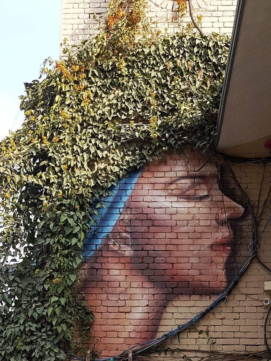 Brick wall face with vines mural